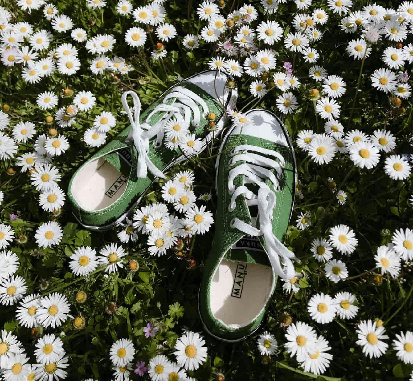 Shoes in a garden of flowers